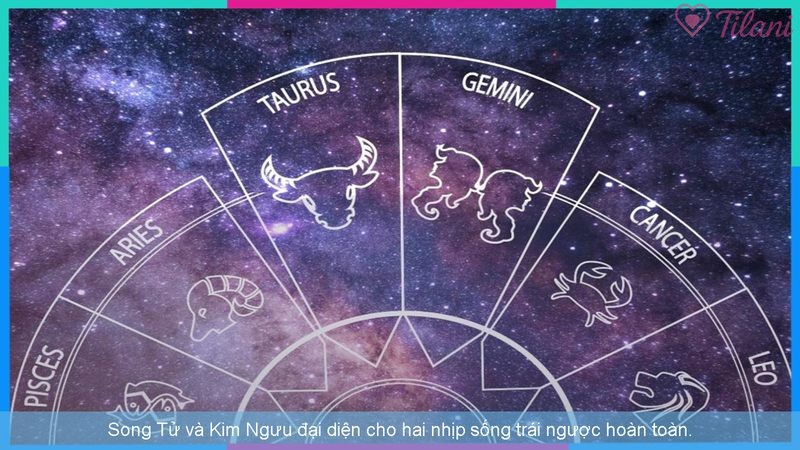 Song Tử và Kim Ngưu đại diện cho hai nhịp sống trái ngược hoàn toàn.