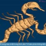Cung Bọ Cạp hợp với cung nào nhất trong tình yêu? Khám phá những kết nối cảm xúc lý tưởng.