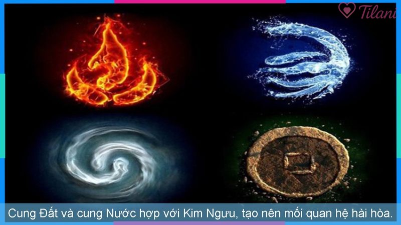Cung Đất và cung Nước hợp với Kim Ngưu, tạo nên mối quan hệ hài hòa.