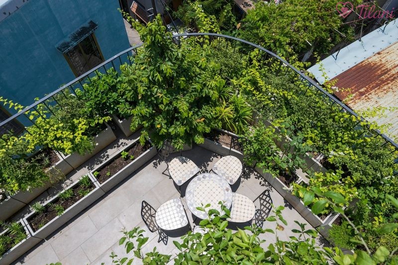 The Deck Saigon kết hợp giữa nhà hàng và khu vườn riêng tư bên bờ sông – địa điểm hẹn hò lý tưởng tại Quận 2.