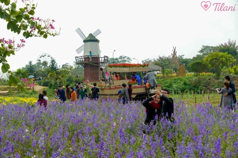 Vườn hoa Nhật Tân