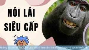 Những câu nói lái thả thính giúp bày tỏ tình cảm tinh tế, hài hước và cực kỳ cuốn hút.