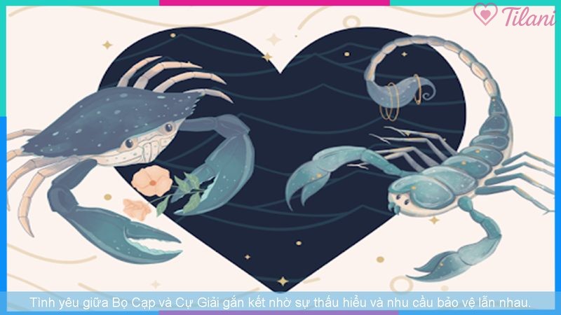 Tình yêu giữa Bọ Cạp và Cự Giải gắn kết nhờ sự thấu hiểu và nhu cầu bảo vệ lẫn nhau.