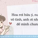 Những câu thả thính lãng mạn thể hiện tình cảm sâu sắc và là cách tuyệt vời để ghi điểm trong mắt người ấy.