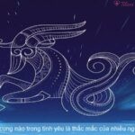 Kim ngưu hợp với cung nào trong tình yêu là thắc mắc của nhiều người yêu chiêm tinh.