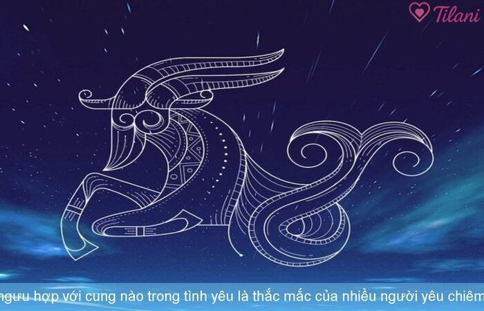 Kim ngưu hợp với cung nào trong tình yêu là thắc mắc của nhiều người yêu chiêm tinh.