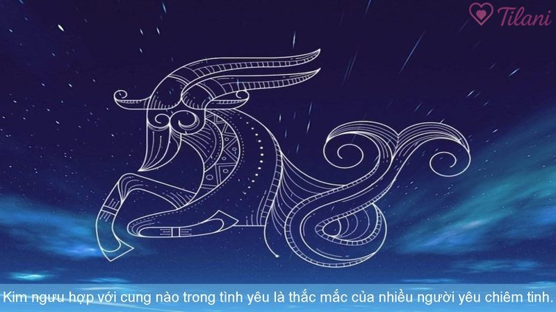 Kim ngưu hợp với cung nào trong tình yêu là thắc mắc của nhiều người yêu chiêm tinh.
