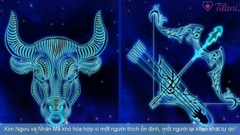 Kim Ngưu và Nhân Mã khó hòa hợp vì một người thích ổn định, một người lại khao khát tự do.